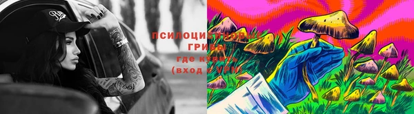 спайс Вязьма