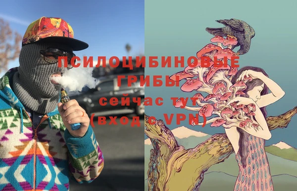 спайс Вязьма